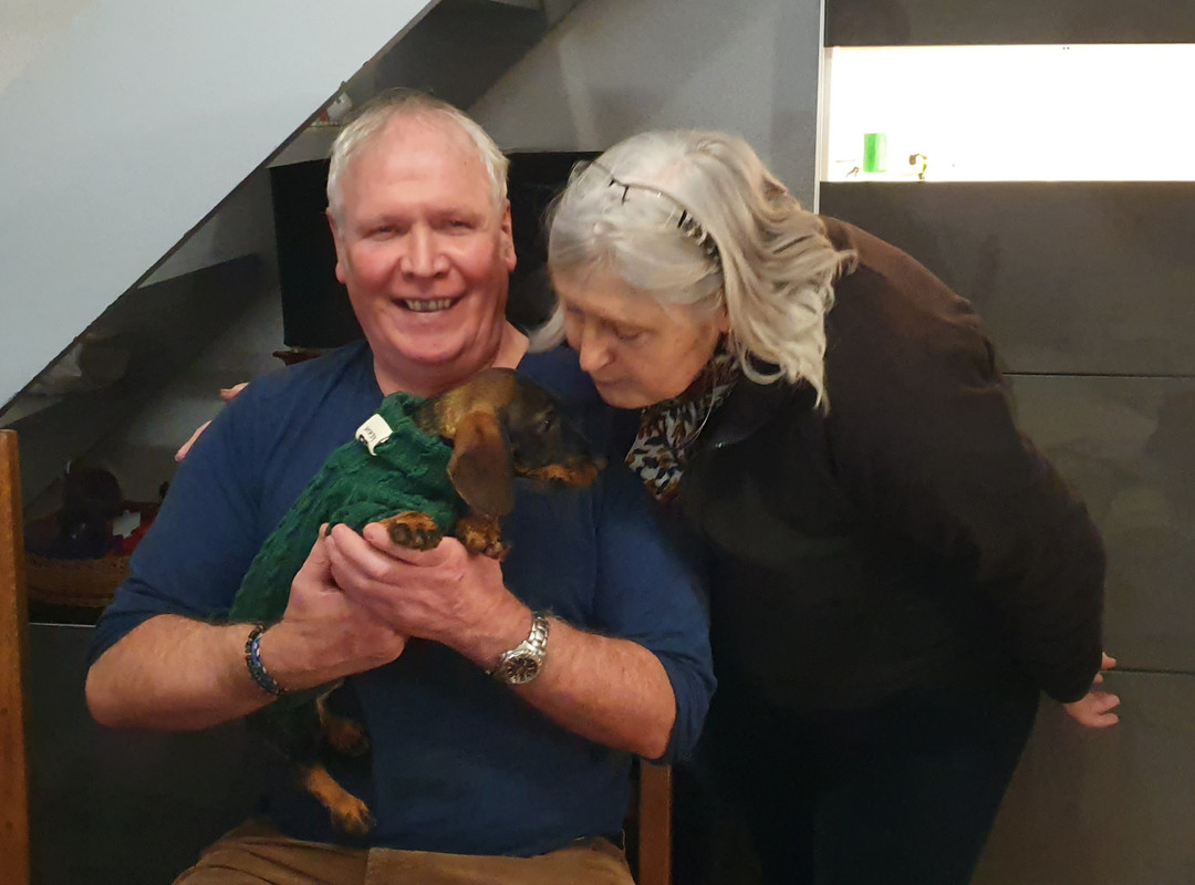 [Image: 20221223-053932.jpg]