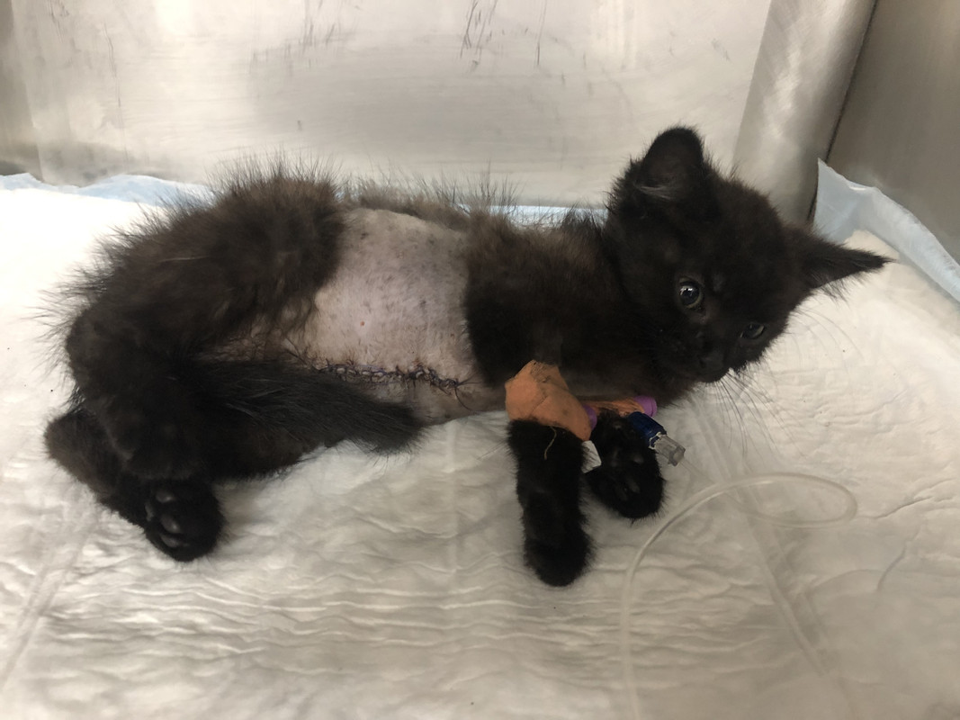 33B0C2CC-4699-4FC3-BBF4-AE08CA7F0AE0