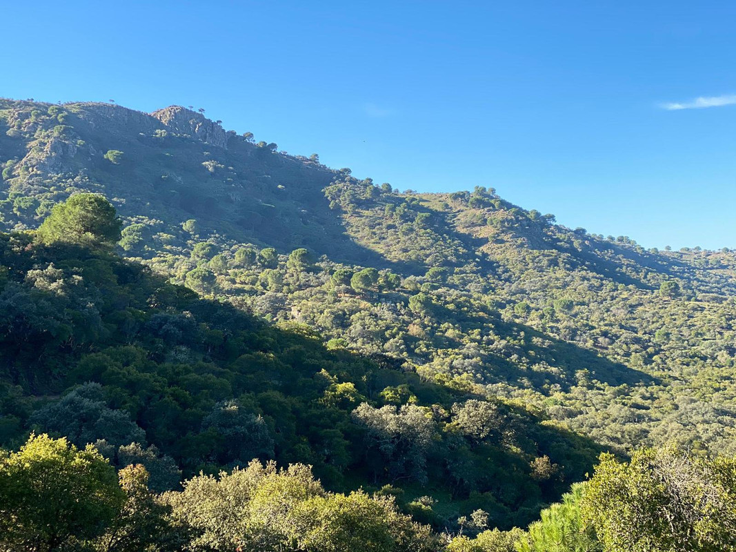 PHOTO-2020-01-16-17-22-32 (1)