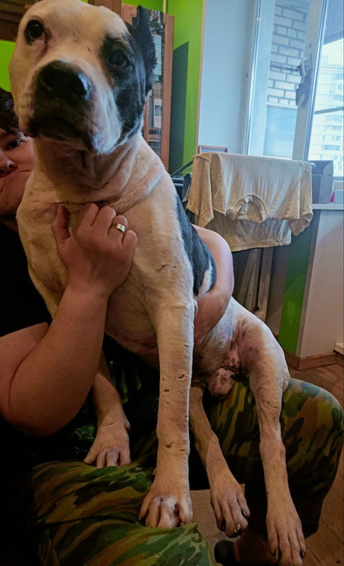 9E2B3B18-198B-47C4-9D7E-5407630C2CEC