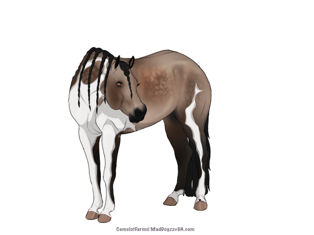 4-A96179-E-D7-C3-4-A9-F-B5-A1-52-B1-A107435-E.png