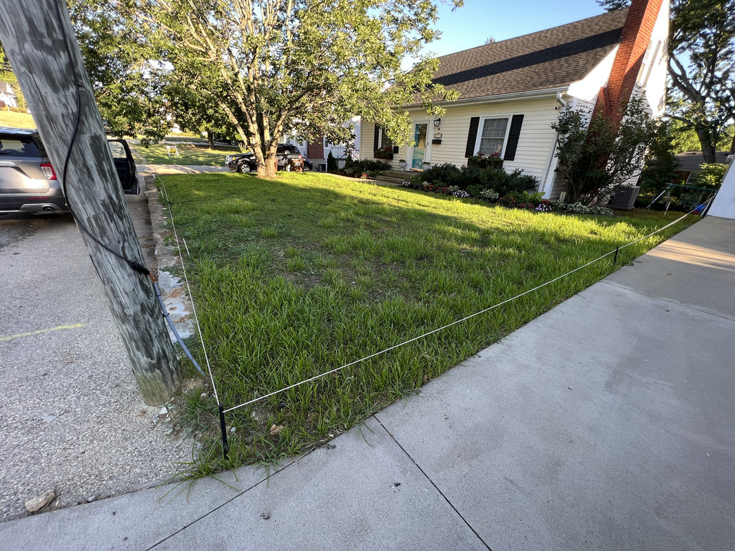 Halosulfuron (sedgehammer) Sulfentrazone (dismiss) combo on newly