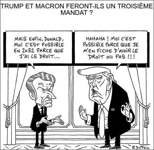 text alternatif
