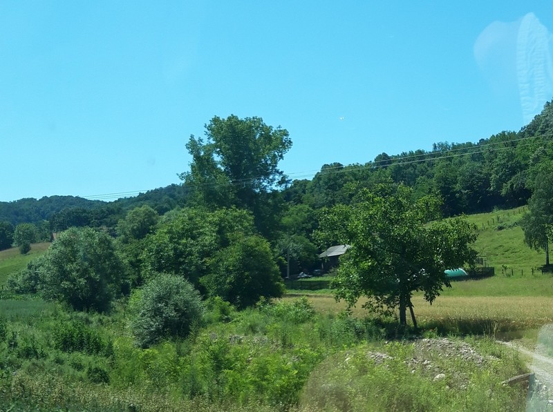 Slika