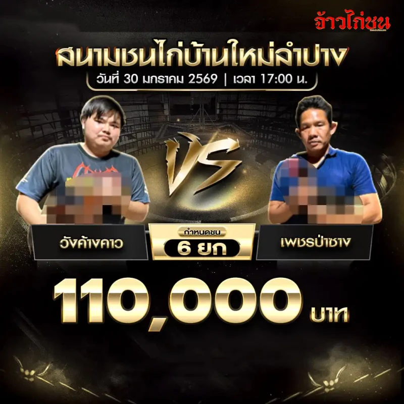โปรแกรมไก่ชน วังค้ังคาว พบ เพชรป่าช้าง ชิงเงิน 110,000 บาท ชน 6 ยก สนามชนไก่บ้านใหม่ลำปาง วันที่ 30 มกราคม 2569 เวลา 17:00 น.
