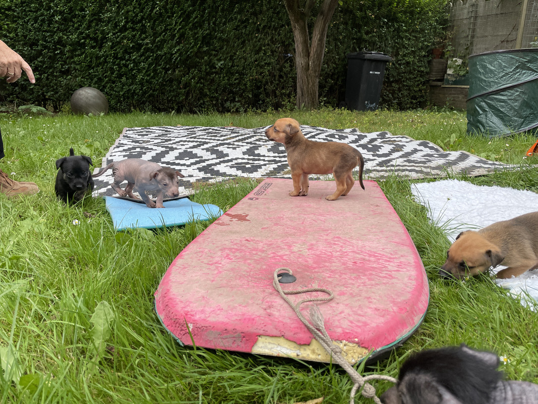 211C70E3-6550-4B04-8138-26D3EAFBBBA9