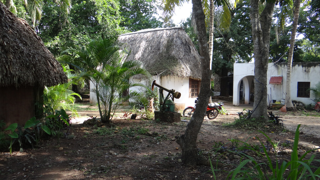 DSC01127