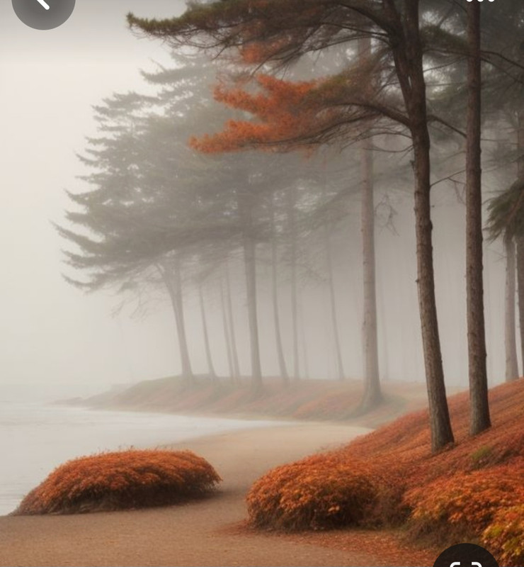 Screenshot_20240131_210125_Pinterest