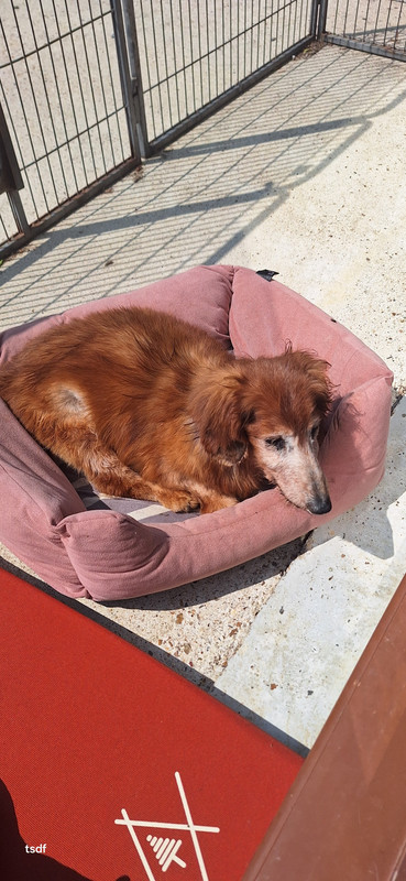 [Image: 20250609-120213.jpg]