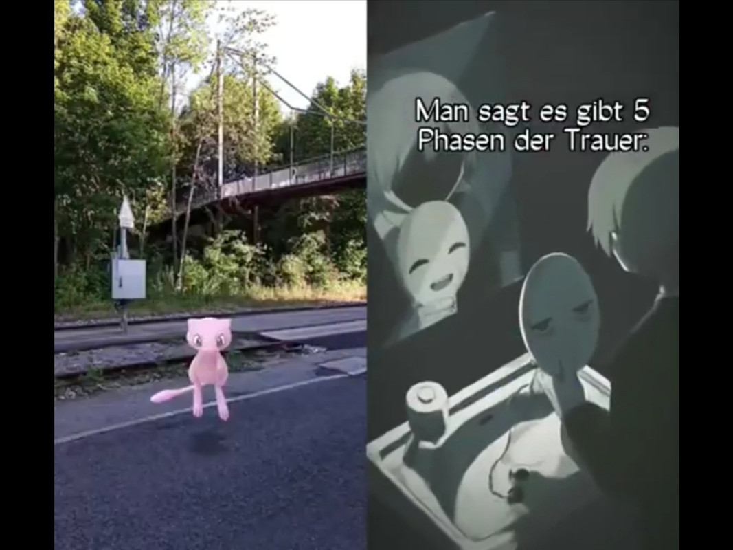 warum.jpg