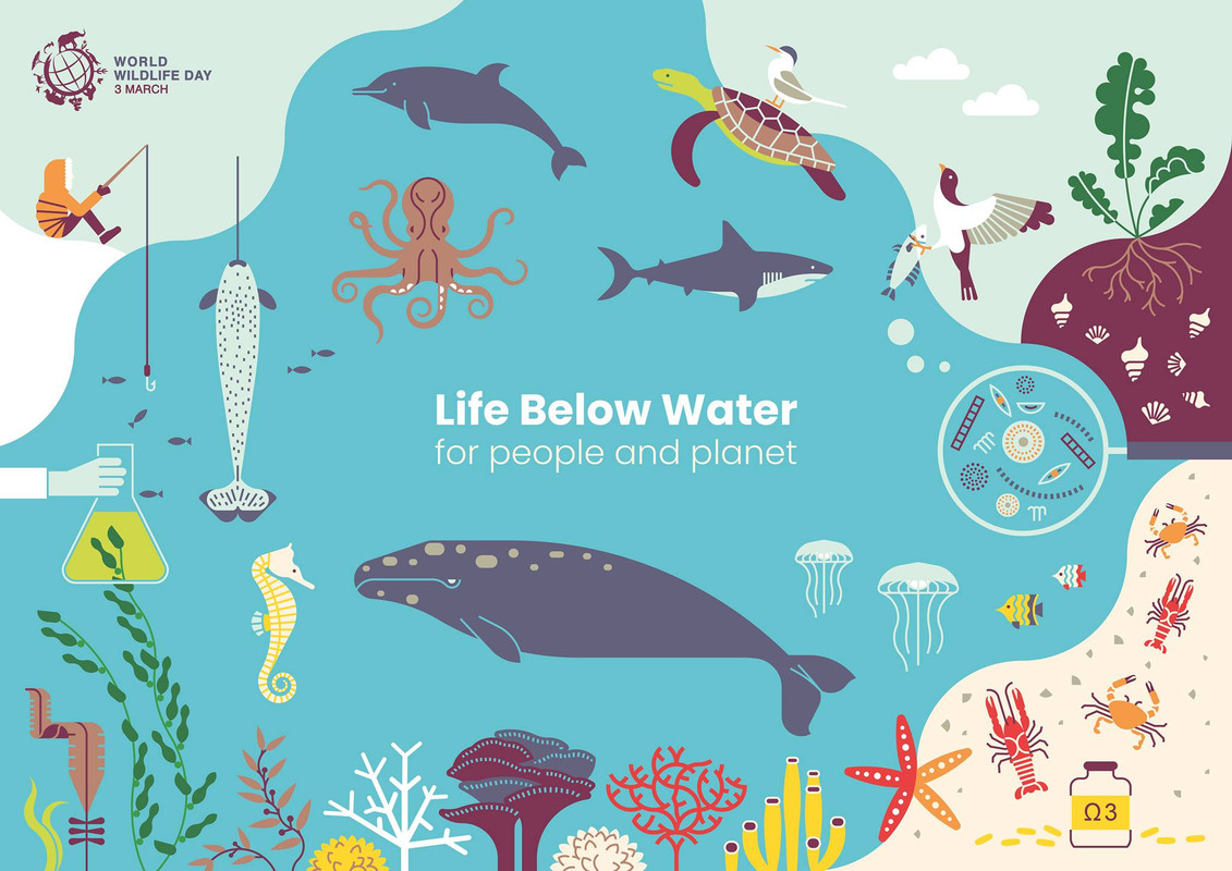 World Wildlife Day