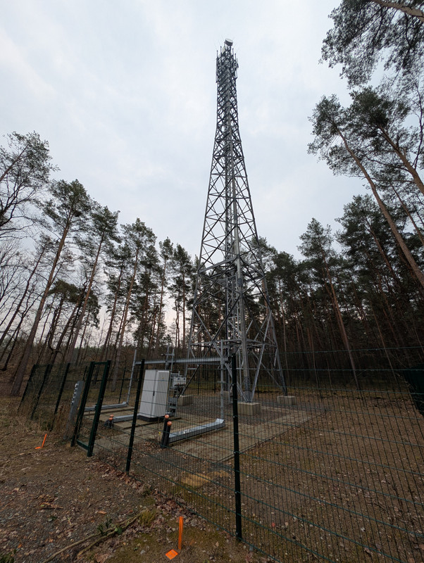 PXL_20250325_100202505