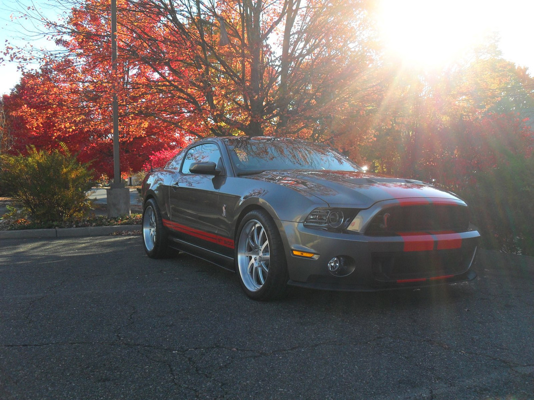 X-S/F Fall pic run - 3 116