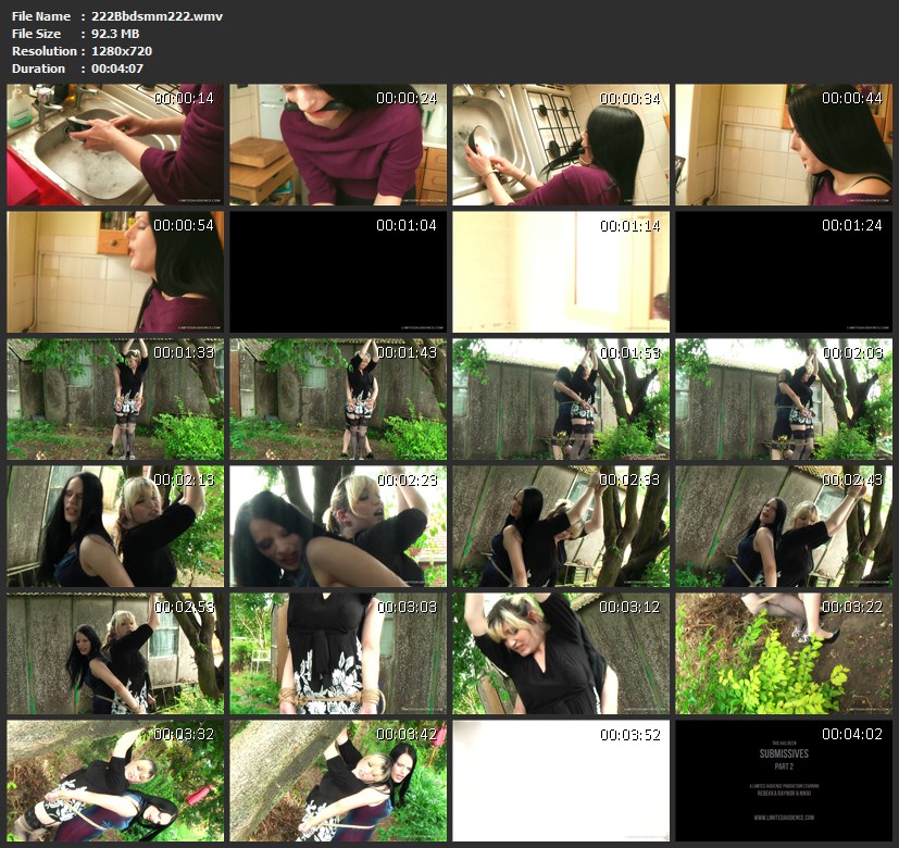 222Bbdsmm222.wmv