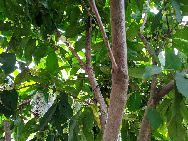 [Image: IMG-20200414-133744.jpg]
