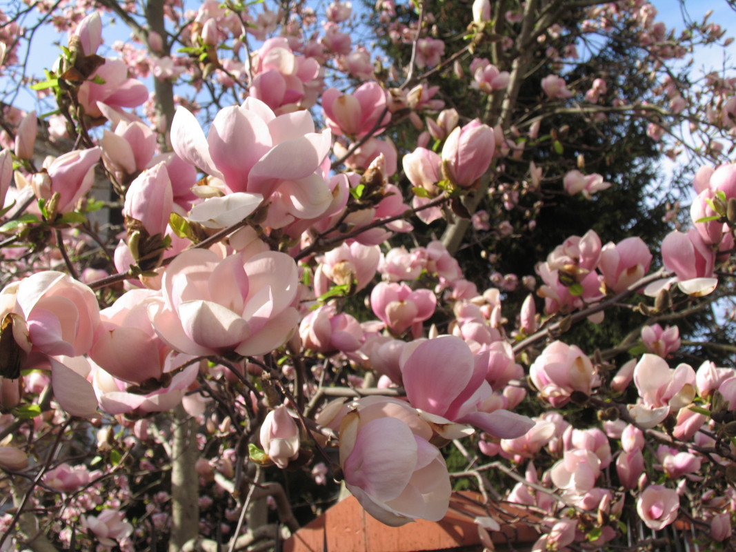 17 апреля 2025 031