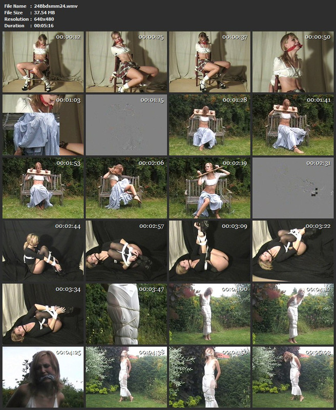 24Bbdsmm24.wmv