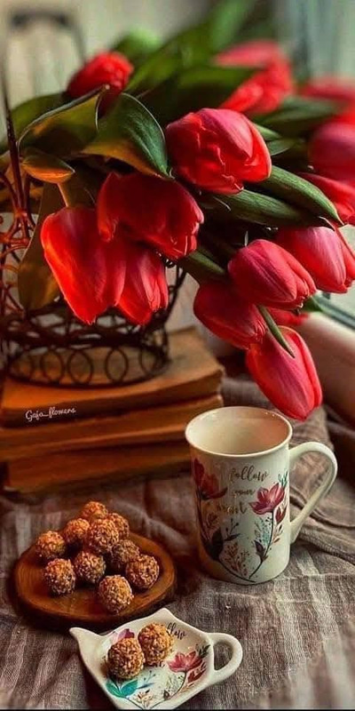 645933067-34025059663804619-7751147004105194467-n