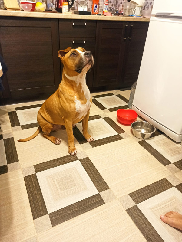 5736B191-85AD-4586-804C-F7A4A0B2EC18