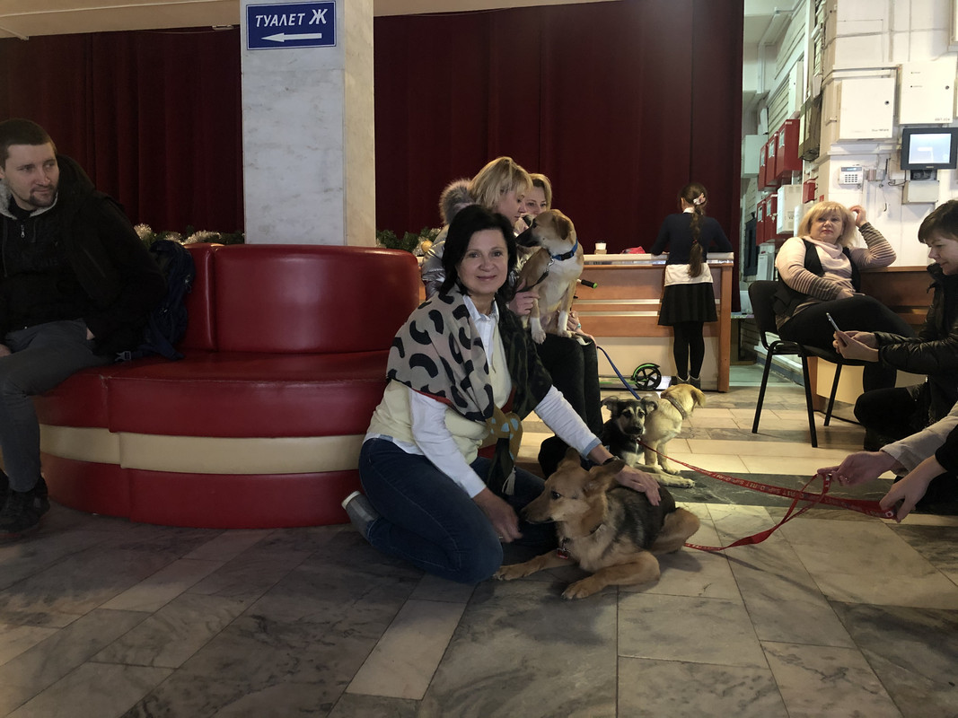 AE15B132-E986-49F4-B543-5234BDAEB14A