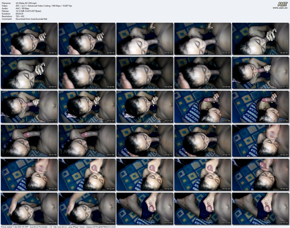 (U) Malay BJ CIM.mp4