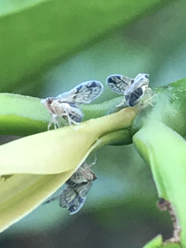 8C44863B-4572-481C-8094-B90D649FFC8A