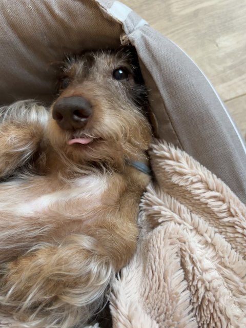 [Image: IMG-8909.jpg]