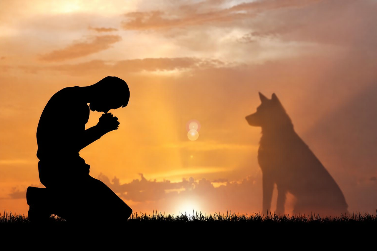 Chat GPT Image Jan 8 2026 at 12 19 18 PM