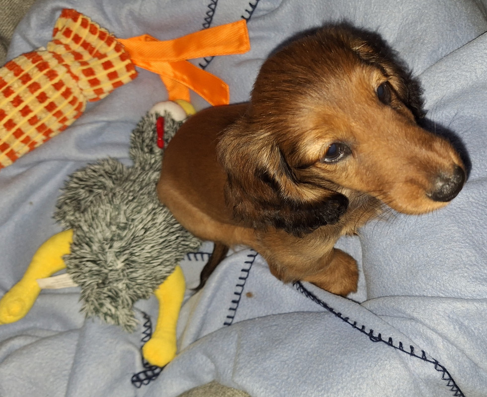 [Image: 20240906-204219.jpg]