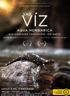 vad-v-z-aqua-hungarica-1080p-HDTv-Rip-25fps-H264-128kbit-AAC-Hun.jpg