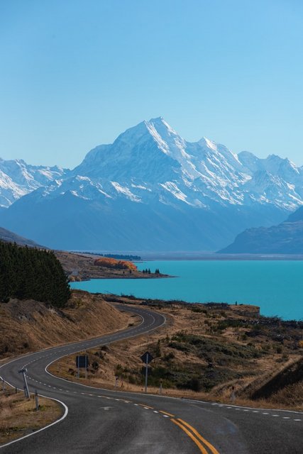 NZ road