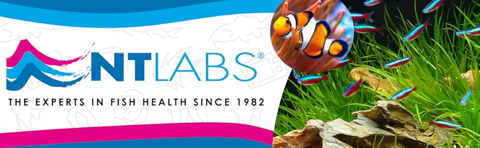 NT-Labs-Banner-Logo.jpg