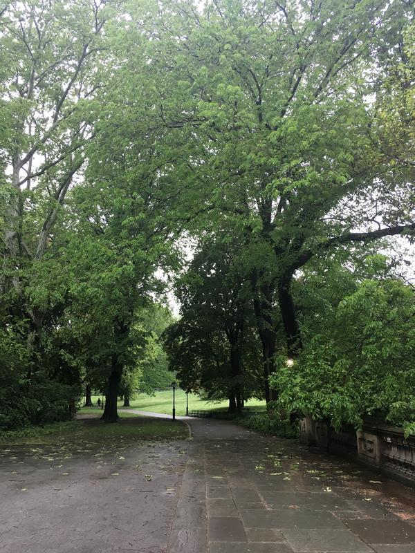 2C960D47-1CB9-400B-BB10-A9A7221712CC