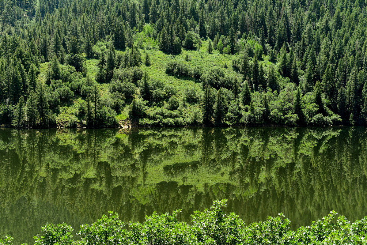 En ruta por Colorado (2022) - Blogs de USA - En el corazón del estado (46)