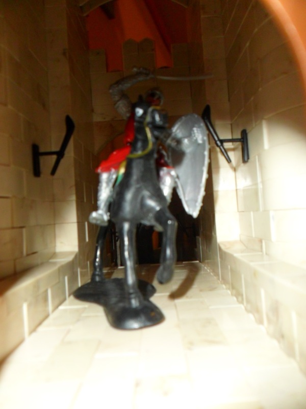 SAM_3080-20150519-145749
