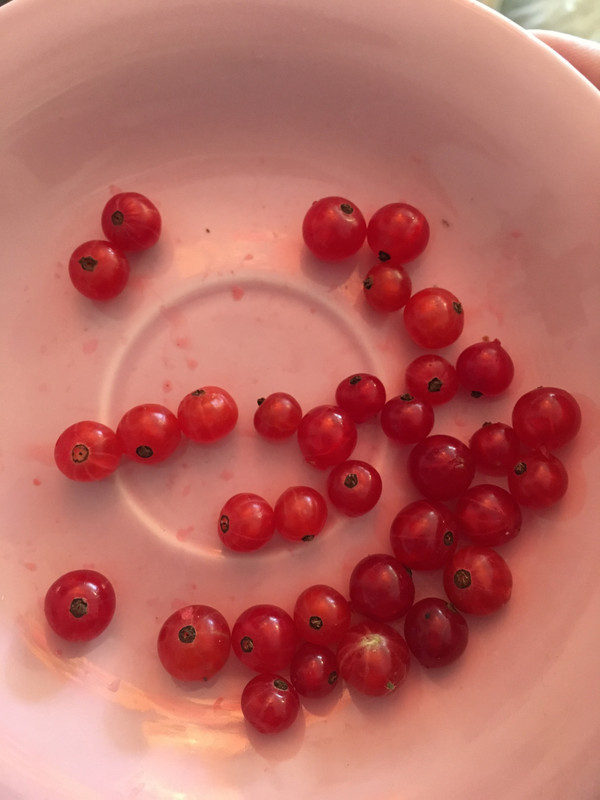 486D7BF3-09CE-4908-A219-AB4C4A267C72