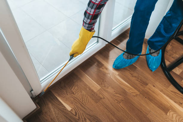 Pest-Control-in-Kissimmee-8.jpg