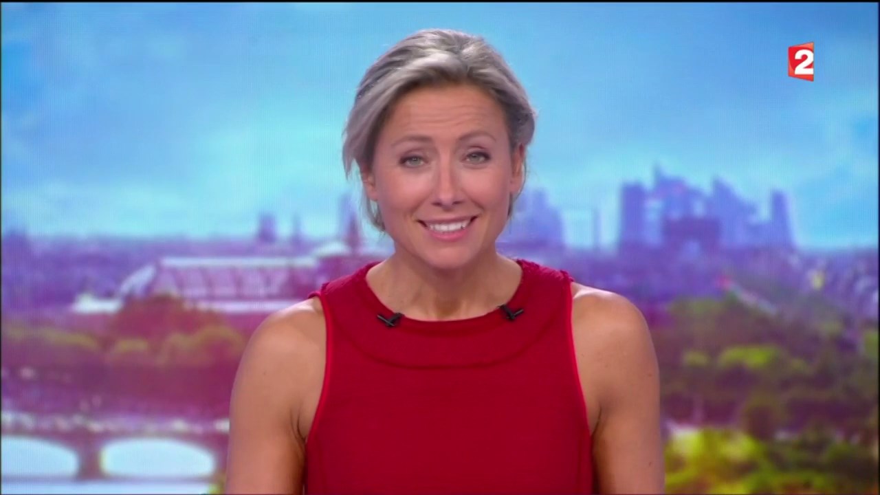 Anne-Sophie Lapix to edit 040917.mp4_snapshot_36