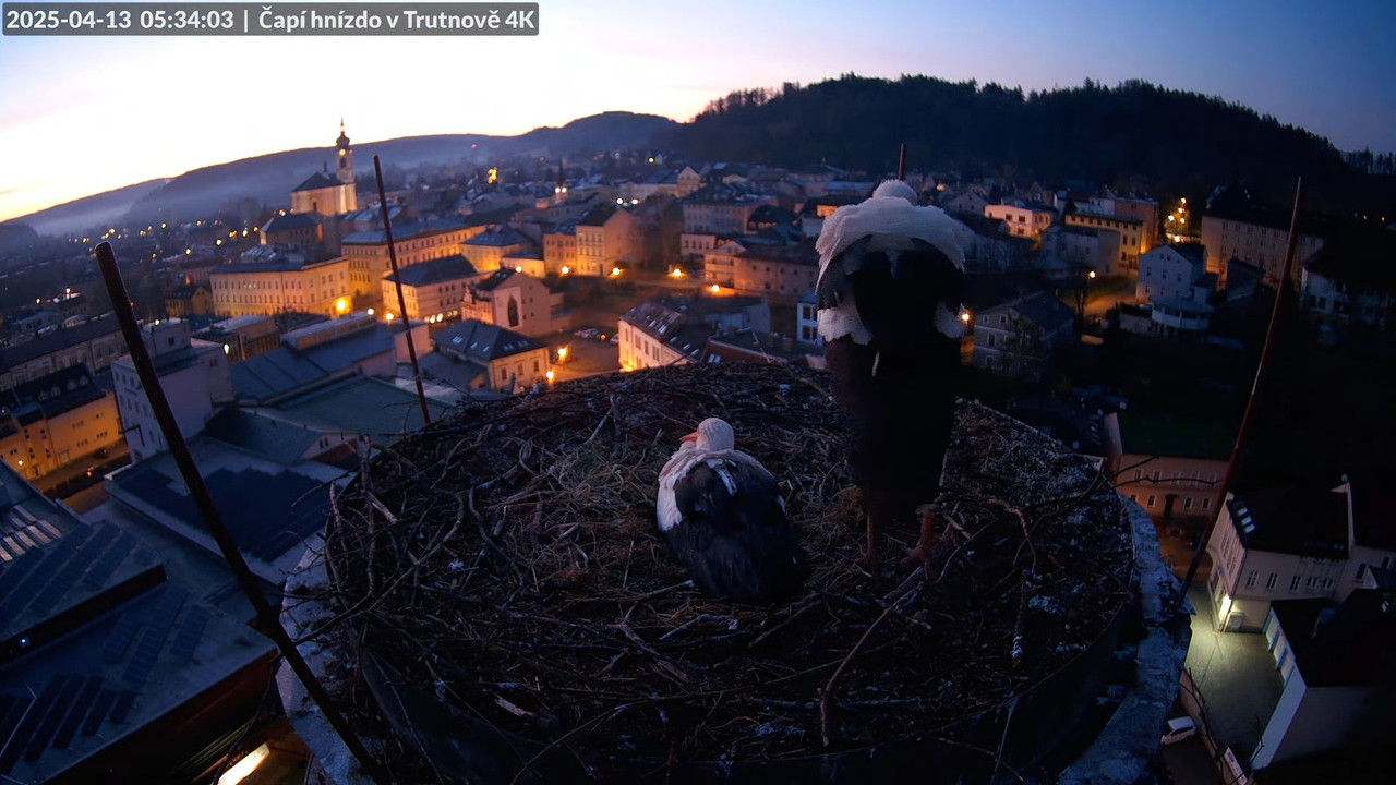 Živě z čapího hnízda na pivovarském komíně v Trutnově 7-12-27 screenshot