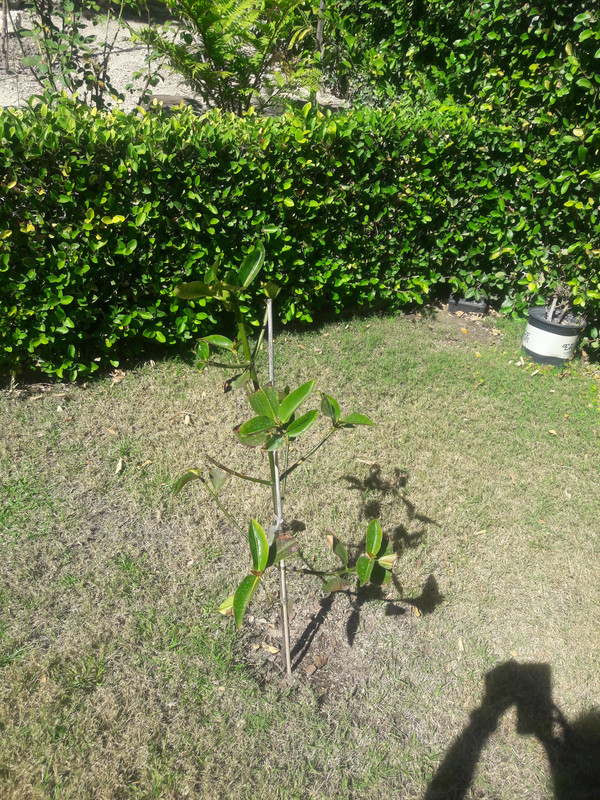 20181021_125546_1540151818643