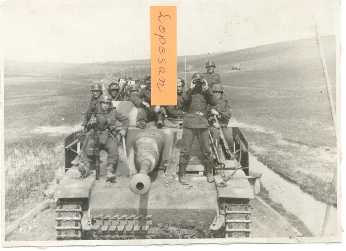 Elite Panzer Division GD Kennung Sturmgeschütz S