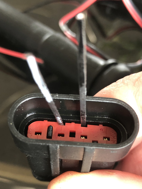 F5A90519-C77D-411C-991C-59928DFDF9A5