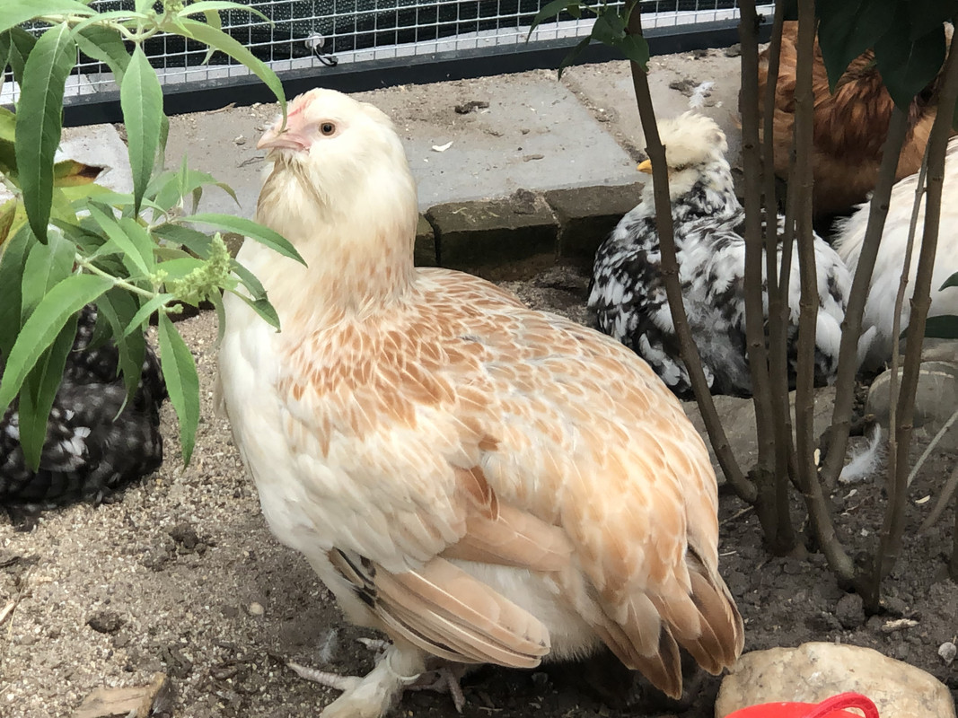 8770FDF9-3422-4622-BB12-4B985265904A