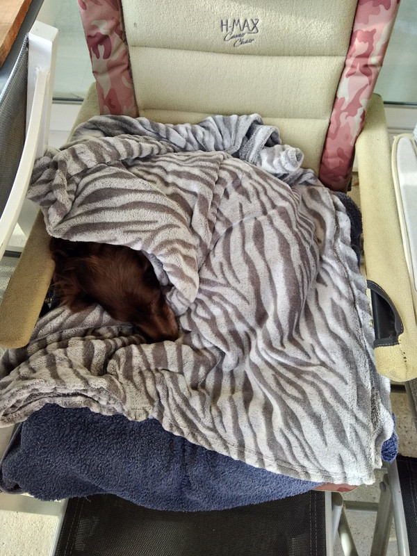 [Image: IMG-20231107-090545.jpg]