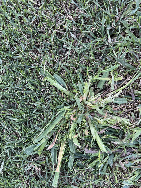 856EFD05-DC7A-4E88-8512-A77FF424C73E