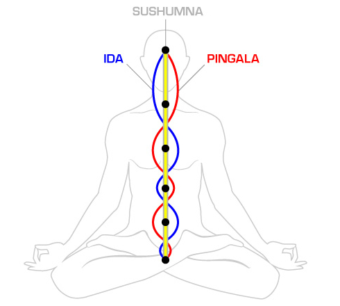Три основных энергетических канала организма. Sushumna-1
