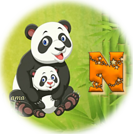 Serie Flia: Madre e Hija, Los Pandas  N