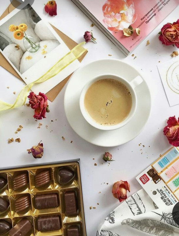 Screenshot_20230228_000017_Pinterest