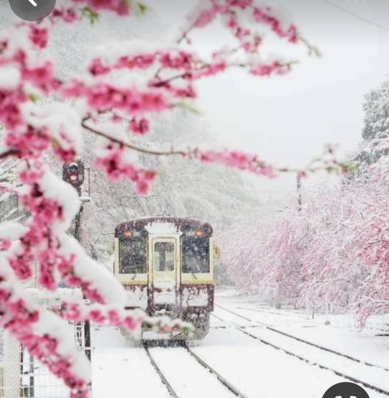 Screenshot_20240120_123115_Pinterest