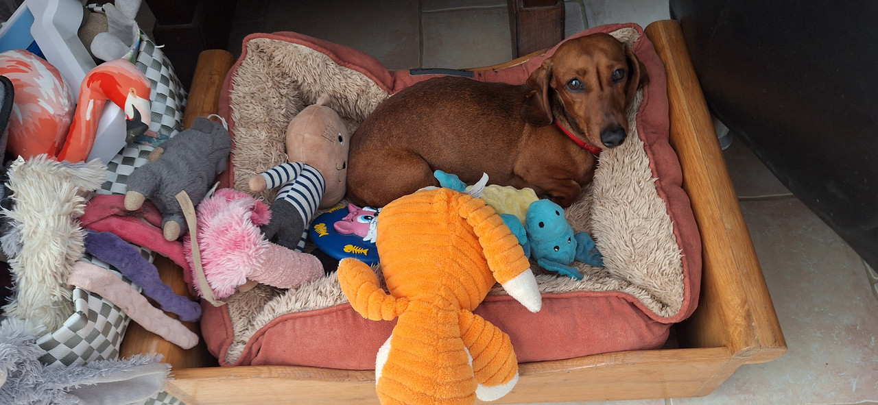 [Image: 20251117-113047.jpg]